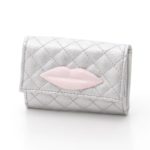 lip mini wallet/silver